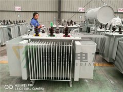 2000kva電力變壓器技術(shù)參數(shù),質(zhì)量第一,用戶至上